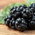 blackberries are keto friendly fruits