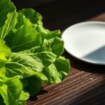 lettuce is keto friendly food