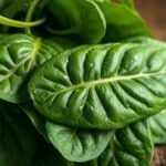 spinach is keto friendly vegetable