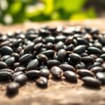 sunflower seeds are keto