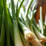green onions are keto friendly