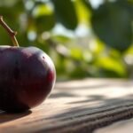 plum not keto friendly